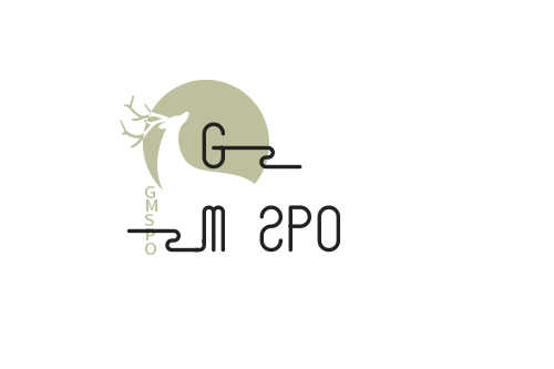 GMSPORTSAFETY